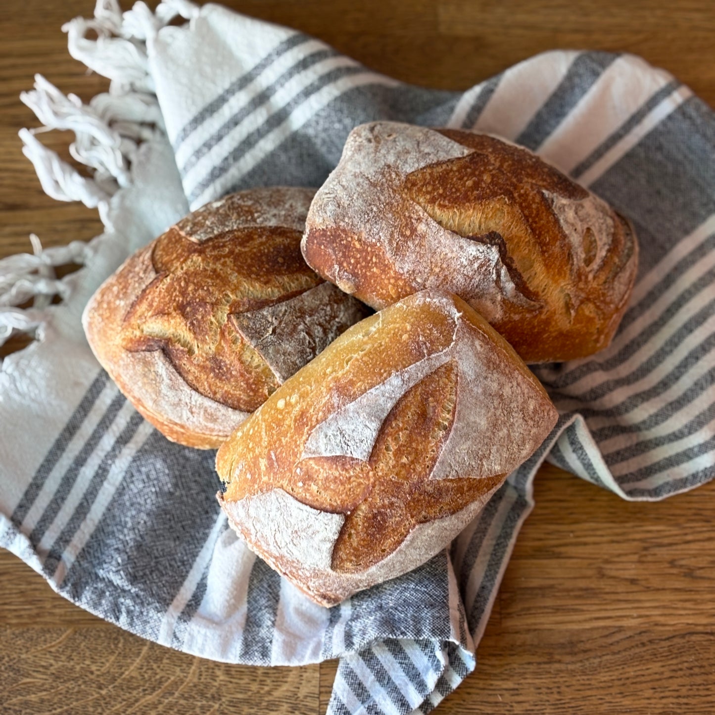 Ciabatta Buns